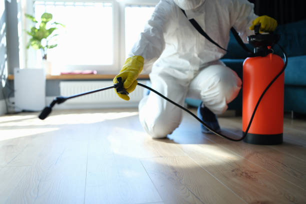 Reliable Hoarding Cleanup contractor in Henderson, NV by Dulley Family Biohazard Services